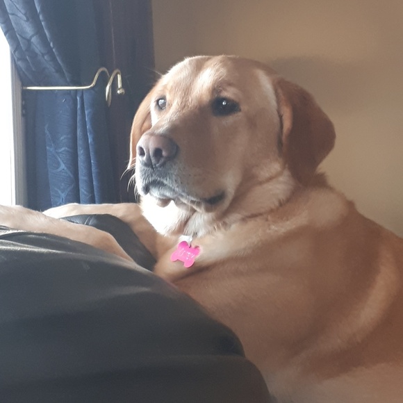 Meet your Posher, Lisa - Picture 1 of 1